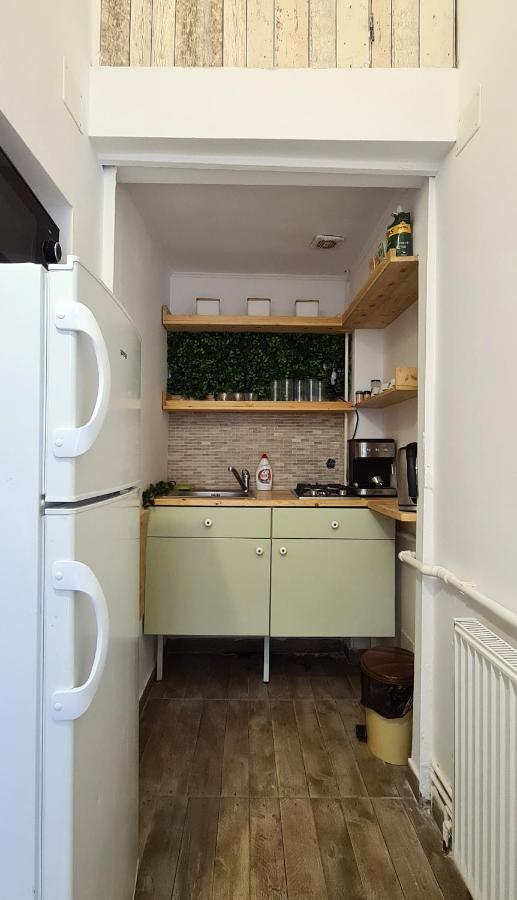 Zeiss House Apartman Brassó Kültér fotó
