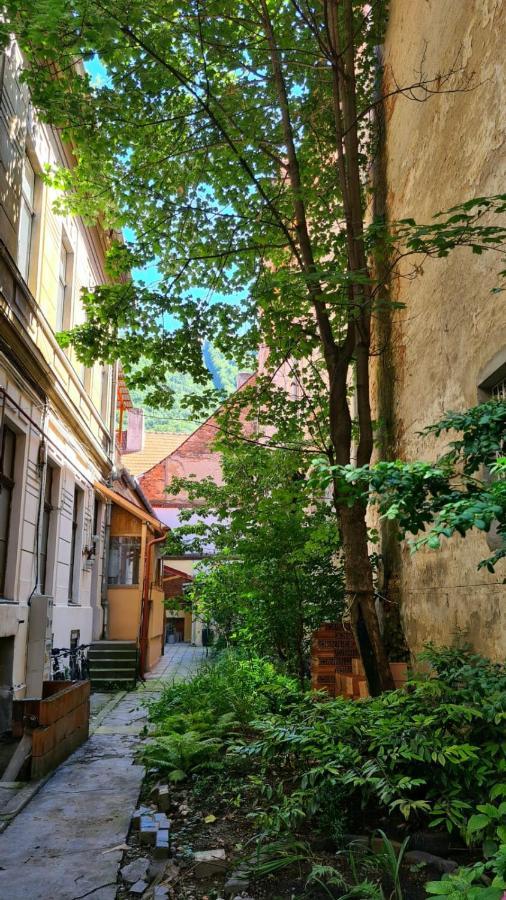 Zeiss House Apartman Brassó Kültér fotó